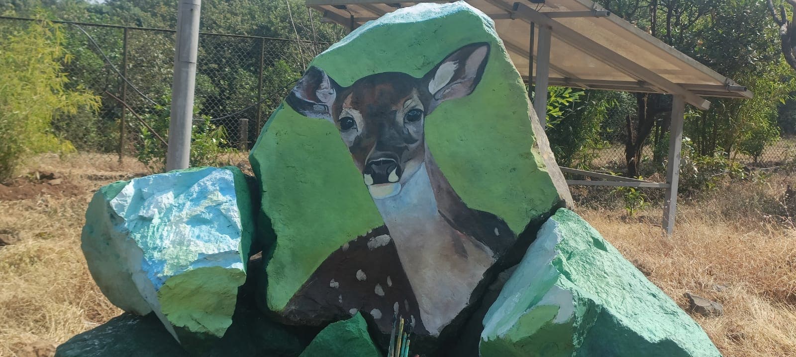 Bhimashankar Wildlife Sanctuary