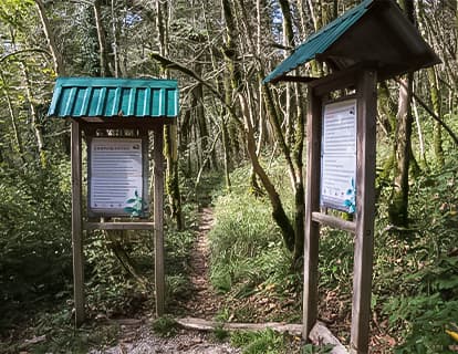 Forest Development Works
